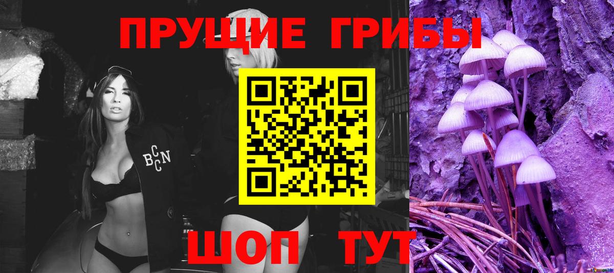 Красногорск  Псилоцибиновые грибы мицелий  Вход с VPN  Галлюциногенные грибы Psilocybine cubensis 