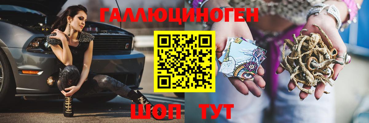 Псилоцибиновые грибы Cubensis Красногорск